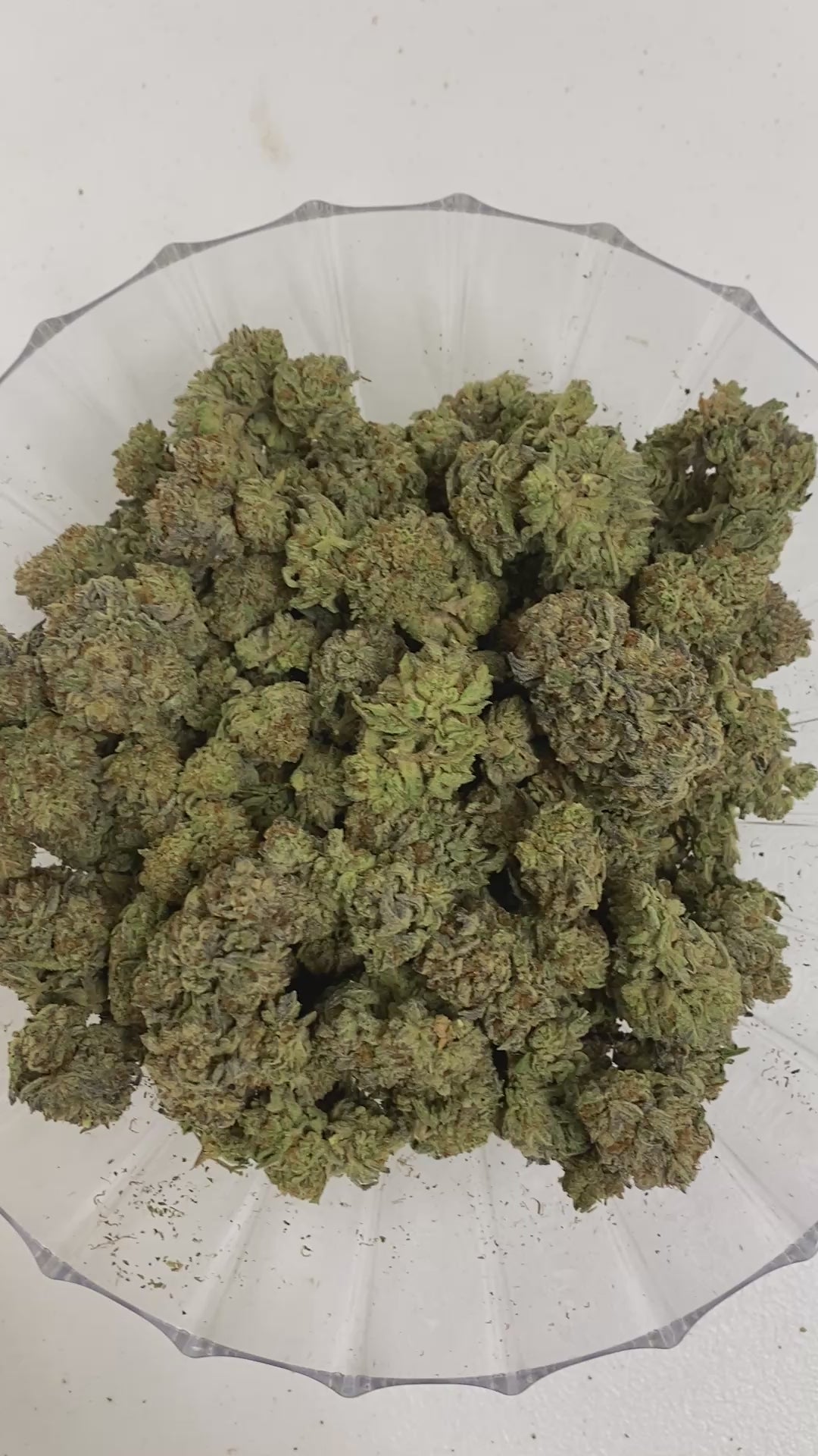 $140 Oz - Top Shelf Exotics - Cosmic Crisp (Balanced Hybrid)