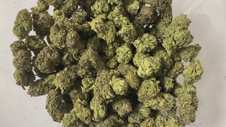 $99 Oz - Commercial Indoors - Gas Avion - Flower