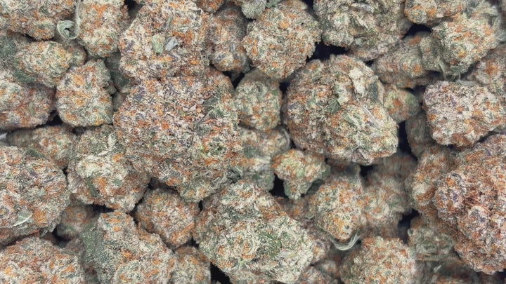 Indoor Exotics - Dirty Sprite - Flower