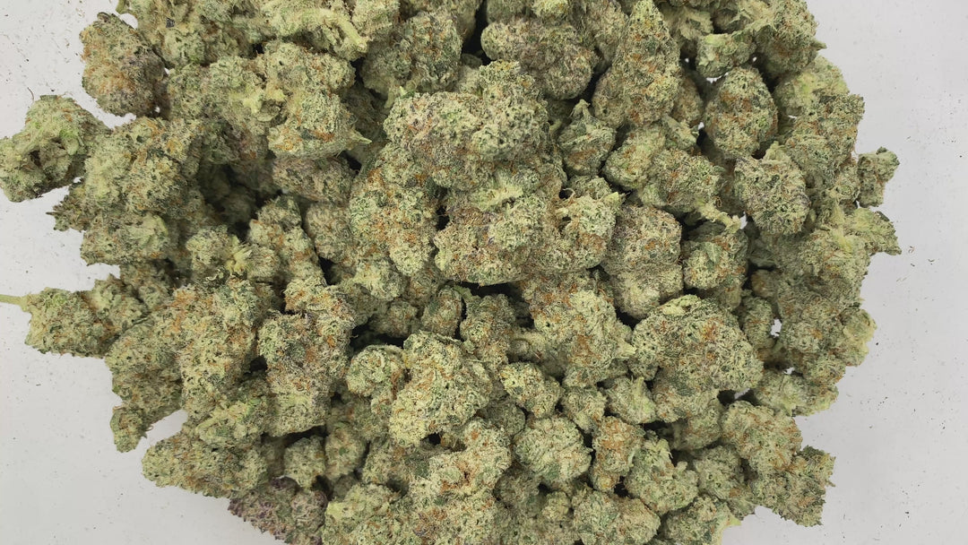 Indoor Exotics - Black Ice - Flower