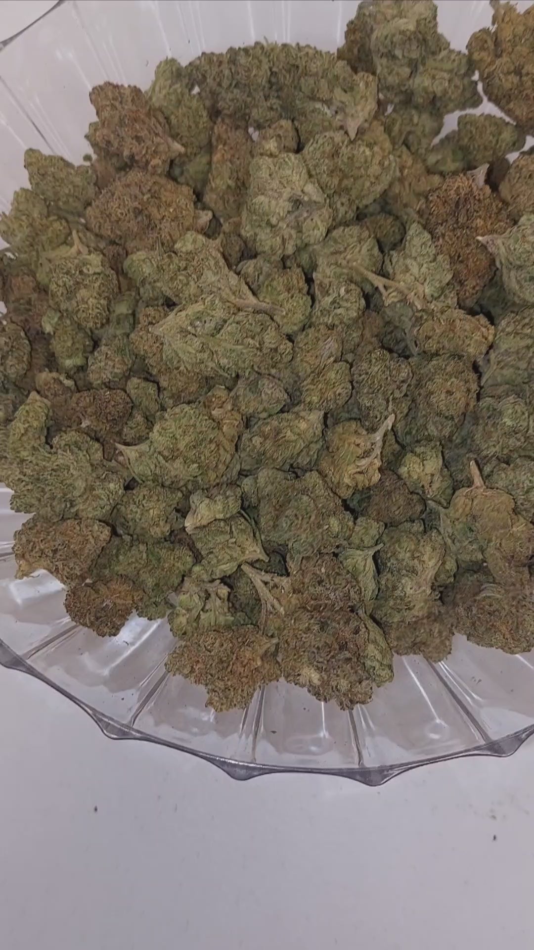 $140 Oz - Top Shelf Exotics - Frozen Grapes (Indica Hybrid)