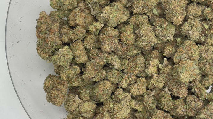 $99 Oz - Cadillac Rainbow - Flower
