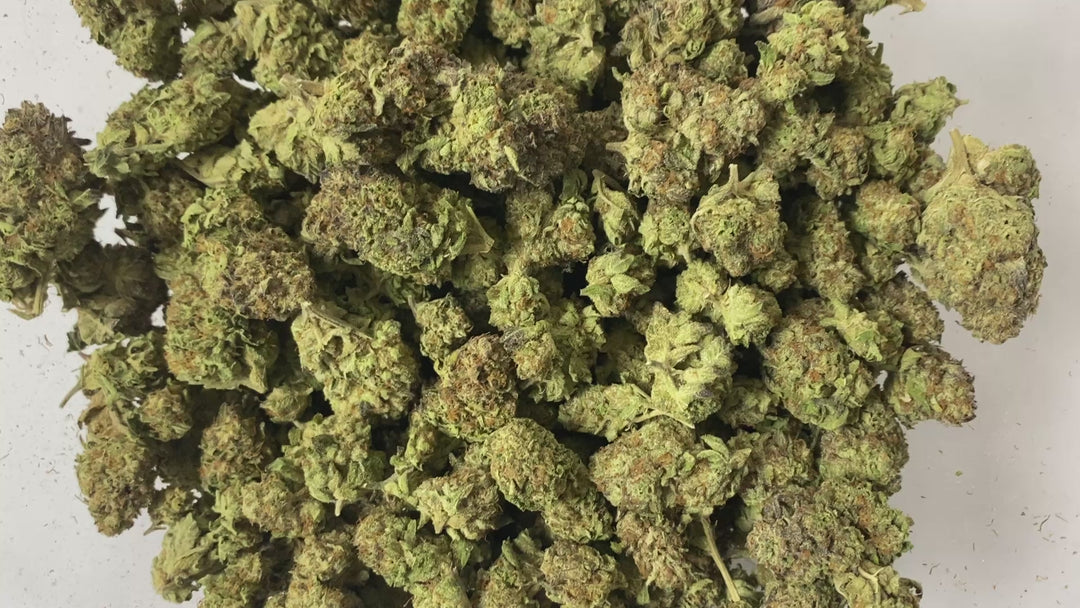 $99 Oz - Commercial Indoors - Milk Tea - Flower