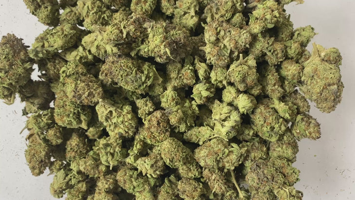 $99 Oz - Commercial Indoors - Milk Tea - Flower