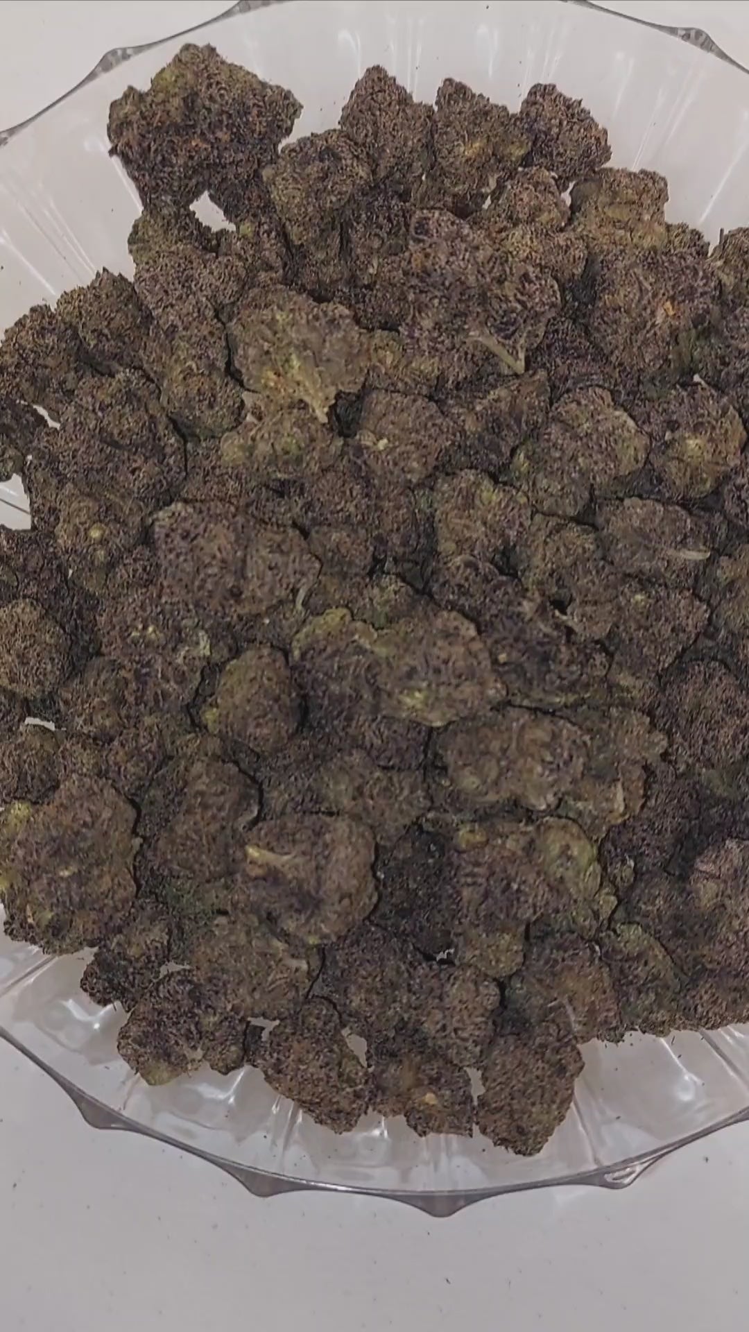 $140 Oz - Top Shelf Exotics - Lemon Cream Pie (Sativa Hybrid)