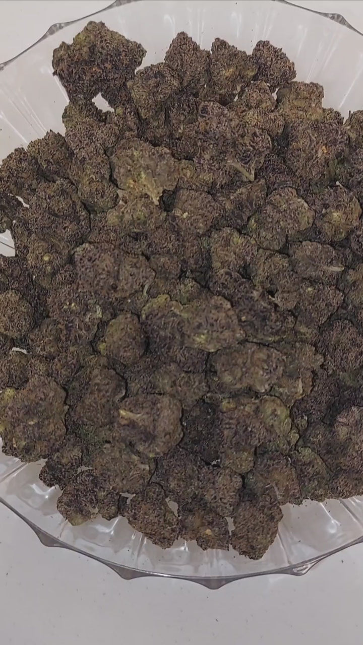 $140 Oz - Top Shelf Exotics - Lemon Cream Pie (Sativa Hybrid)