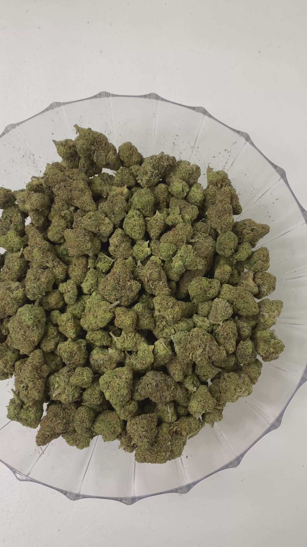 $140 Oz - Top Shelf Exotics - Cool Cookies (Balanced Hybrid)