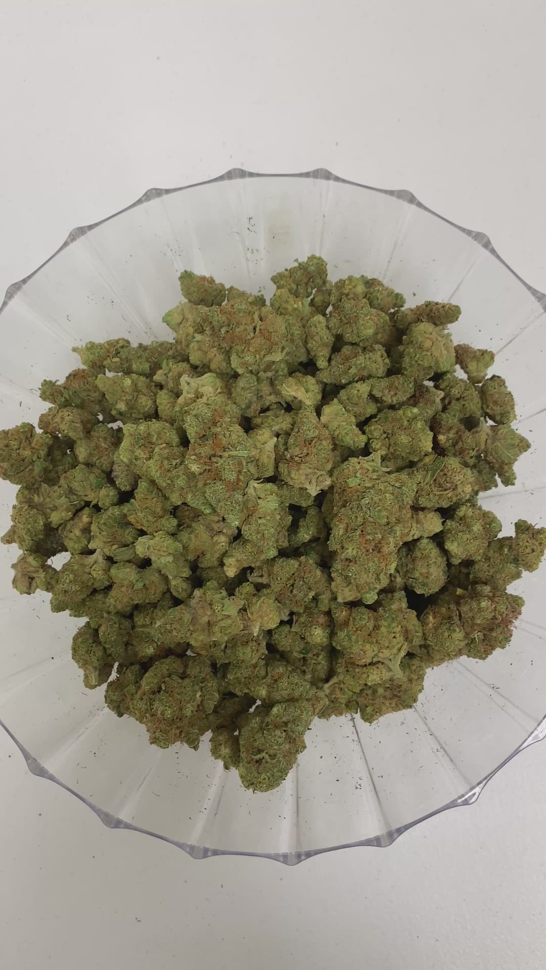 $99 Oz - Indoor Flower - Pineapple Lemonade (Sativa Hybrid)