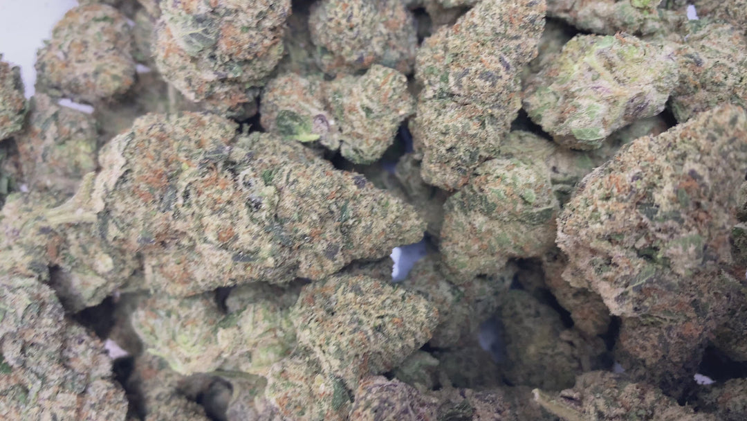 Indoor Exotics - Blue Magoo - Flower