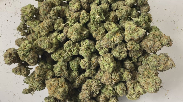 Indoor Exotics - Bubblegum - Flower