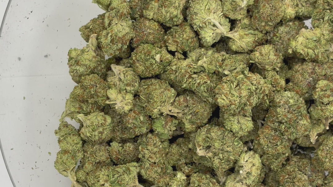 $99 Oz - G41 - Flower