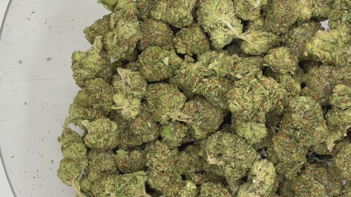 $99 Oz - G41 - Flower