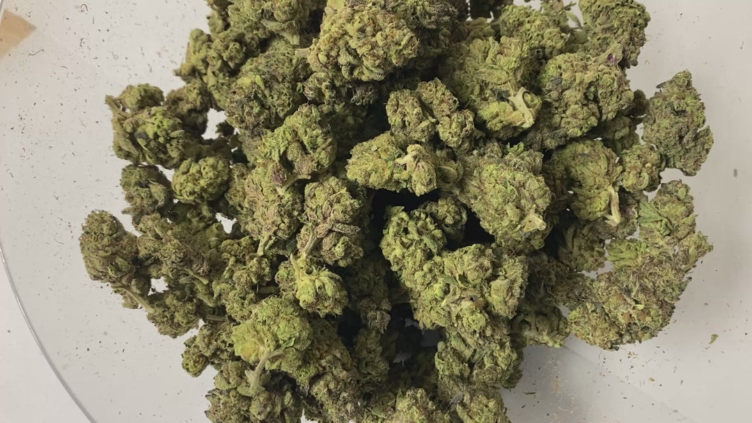 $99 Oz - Commercial Indoors - Mochilato - Flower