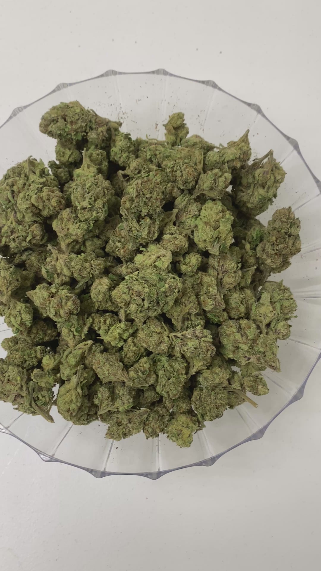 $99 Oz - Indoor Flower - Lemon Cherry Runtz (Balanced Hybrid)