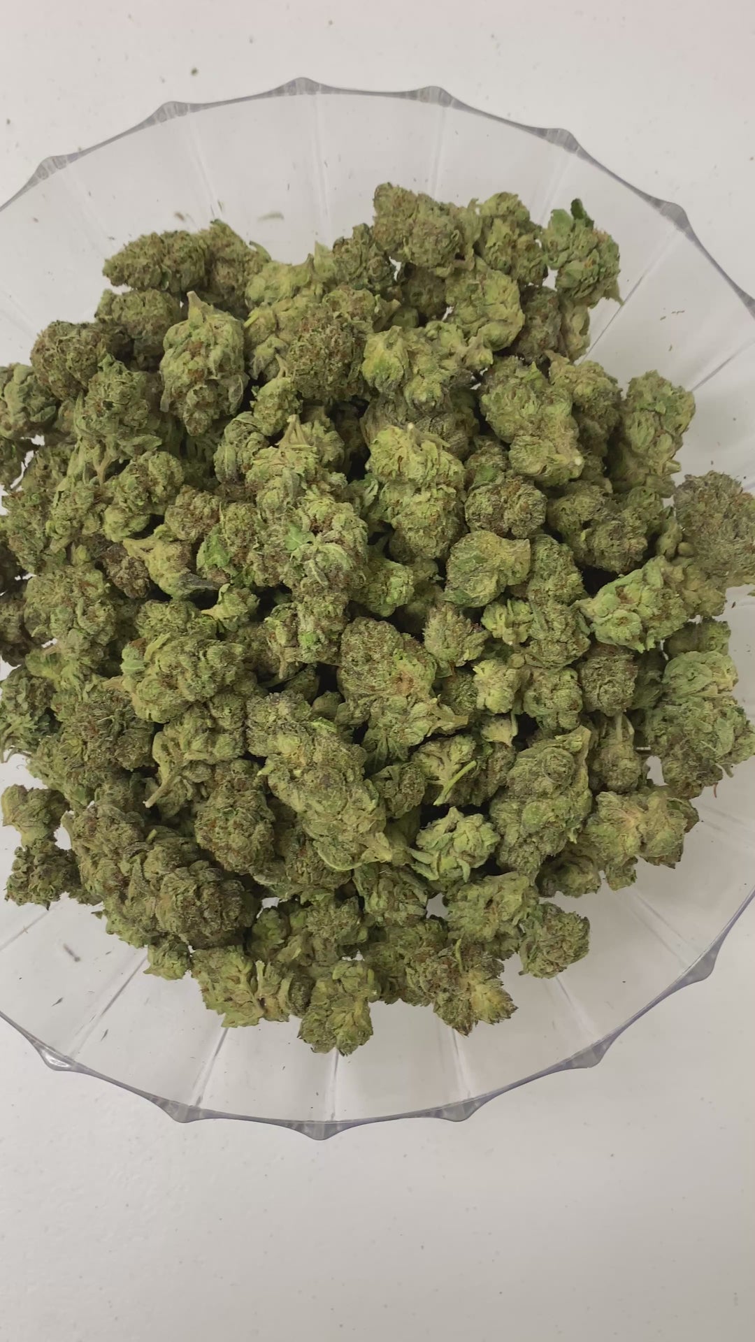$99 Oz - Indoor Flower - Biscotti (Indica Hybrid)