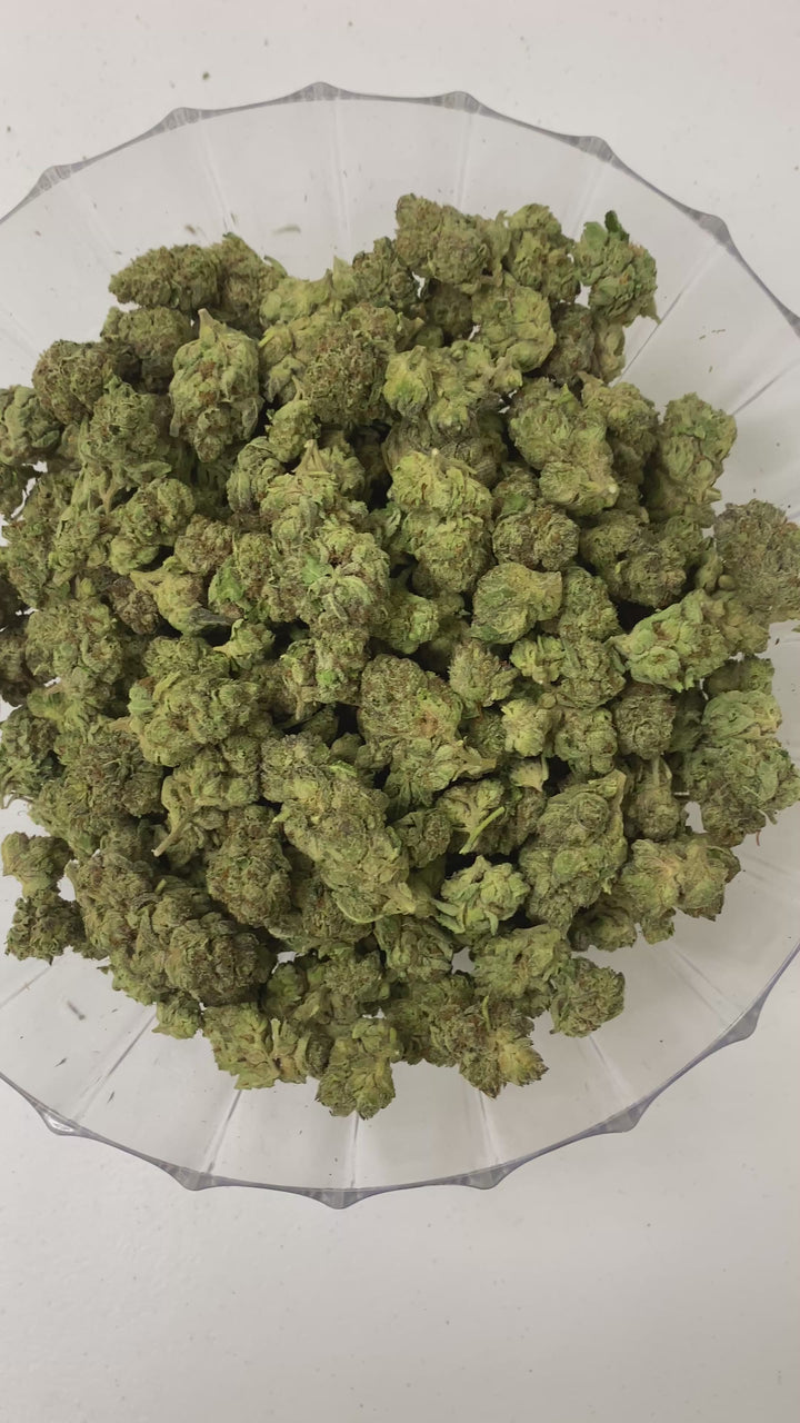 $99 Oz - Indoor Flower - Biscotti (Indica Hybrid)