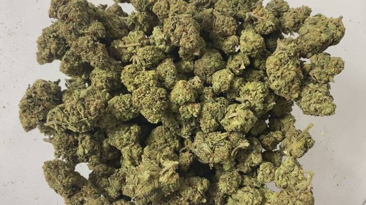 $99 Oz - Commercial Indoors -  Garlic Cookies - Flower