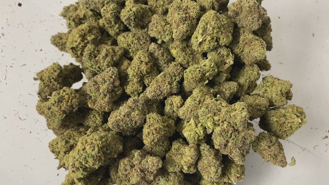 Indoor Exotics - Cali Burger - Flower