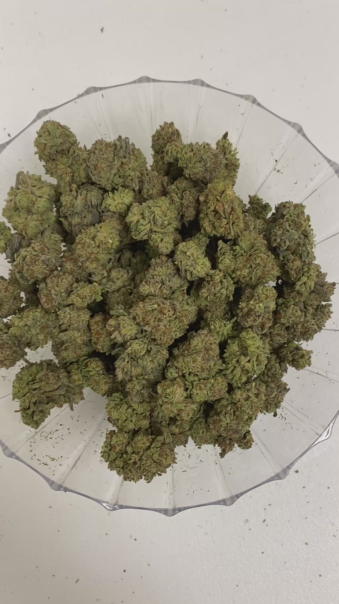 $140 Oz - Top Shelf Exotics - Funfetti (Indica Hybrid)