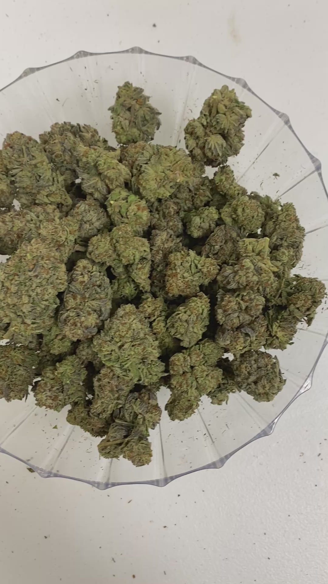 $140 Oz - Top Shelf Exotics - Platinum Bubba (Indica Hybrid)