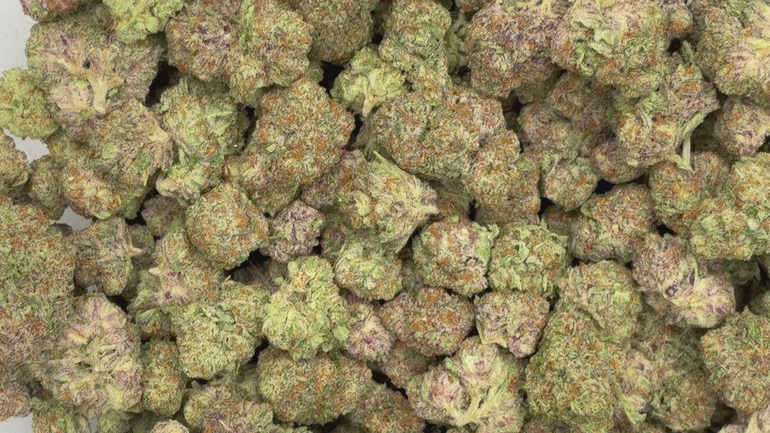 $99 Oz - Indoor Flower - Candy Fumez (Indica Hybrid)