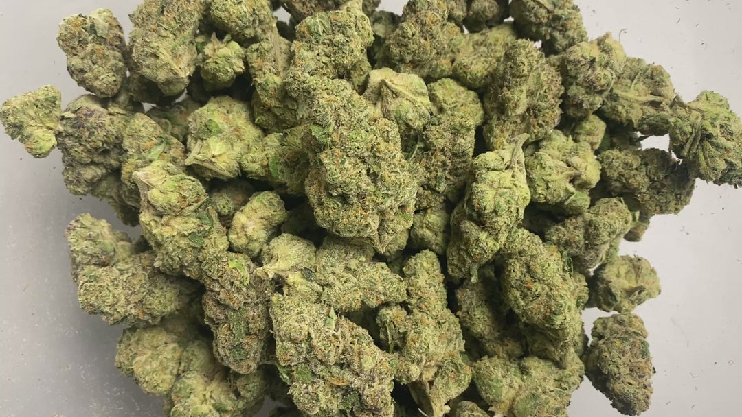 Indoor Exotics - Sugar Cookies - Flower