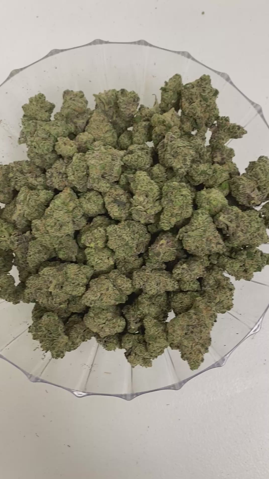 $140 Oz - Top Shelf Exotics - Cherry Garcia (Balanced Hybrid)