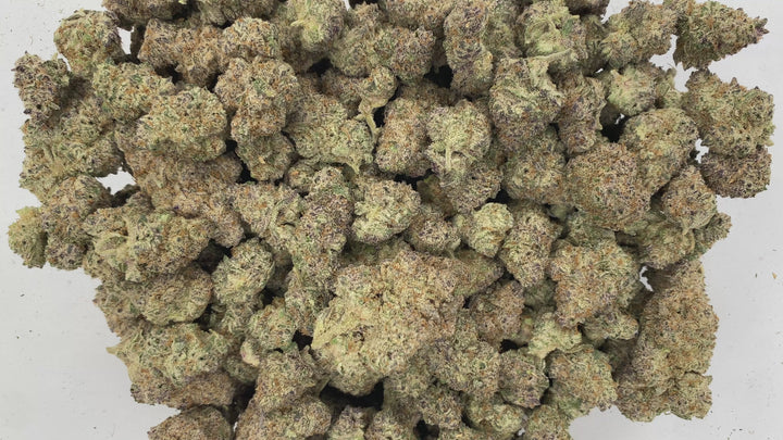Indoor Exotics - Skeet Skeet - Flower