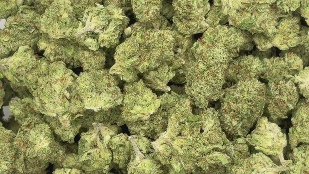 $99 Oz - Indoor Flower - Lemon Venom (Indica Hybrid)