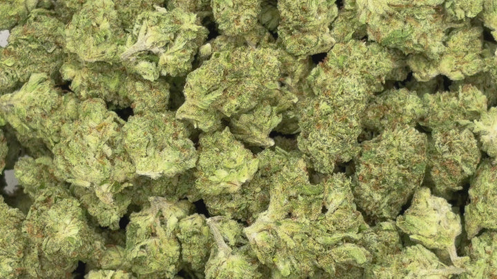 $99 Oz - Indoor Flower - Lemon Venom (Indica Hybrid)