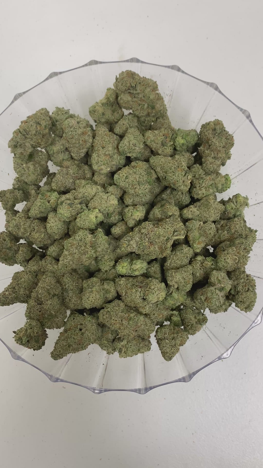 $140 Oz - Top Shelf Exotics - Street Tarts (Balanced Hybrid)