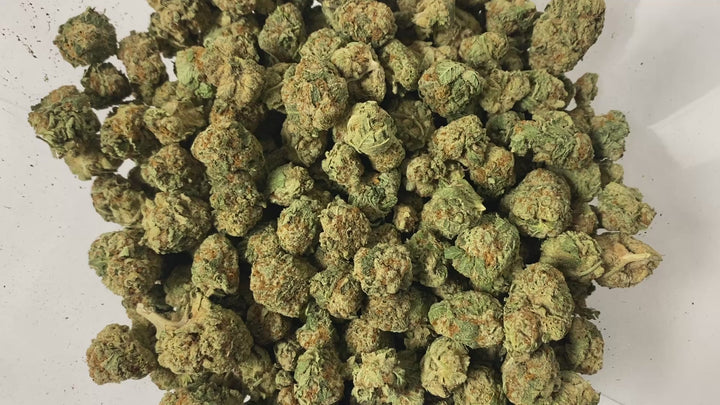 $99 Oz - Commercial Indoors - Gelonade - Flower