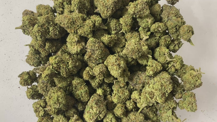 $99 Oz - Indoor Flower - Gelato (Hybrid)