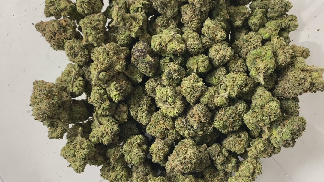 Indoor Exotics - Gushers - Flower