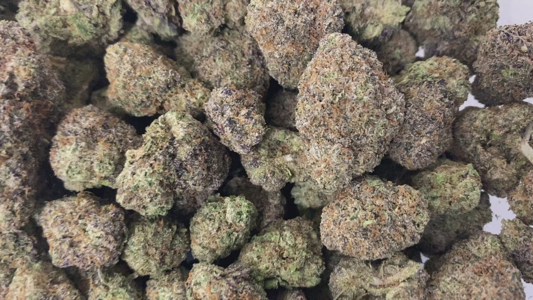 Indoor Exotics - Mochie- Flower