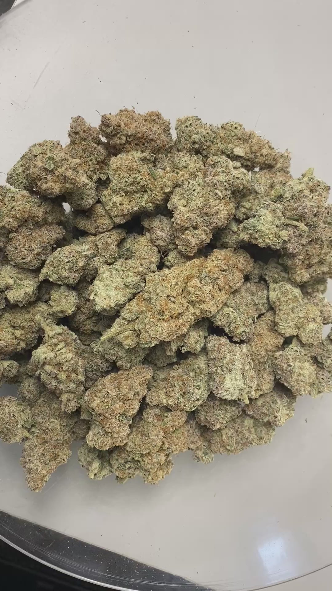 Indoor Exotics - Sub Zero - Flower