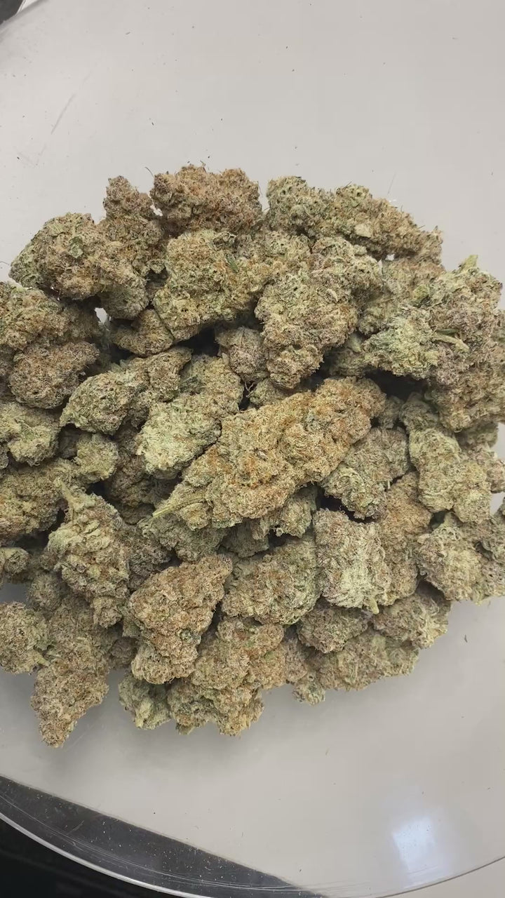 Indoor Exotics - Sub Zero - Flower