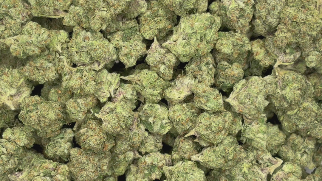 $99 Oz - Indoor Flower - LCG Max (Hybrid)