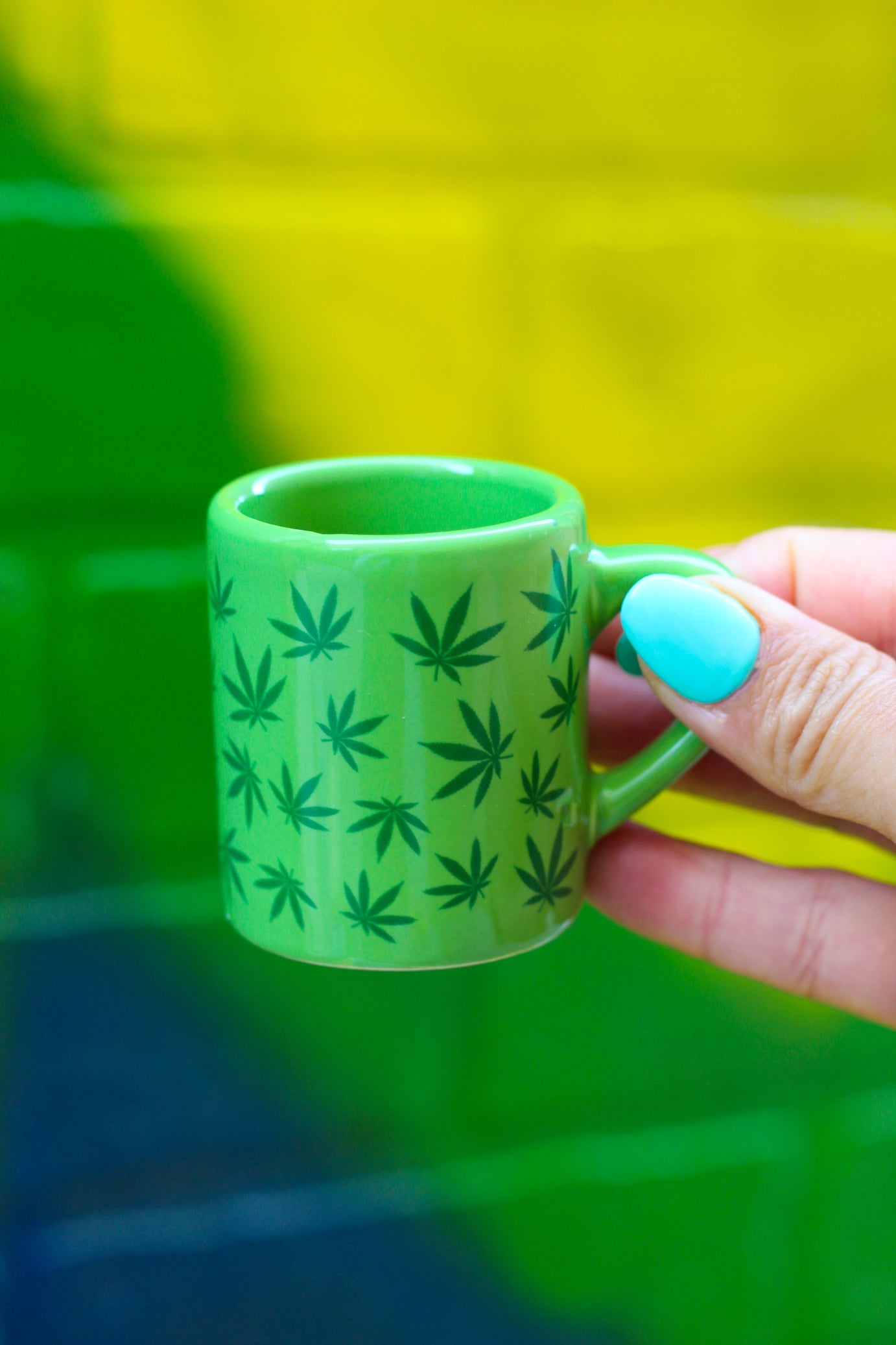 Stoner Mug Shotglass SWL